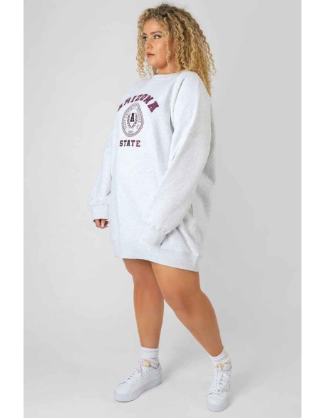 Curve Arizona Graphic Sweat Dress Oatmeal Marl